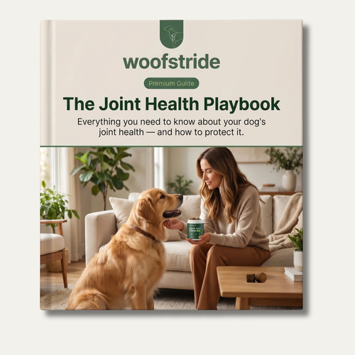 The Joint Health Playbook