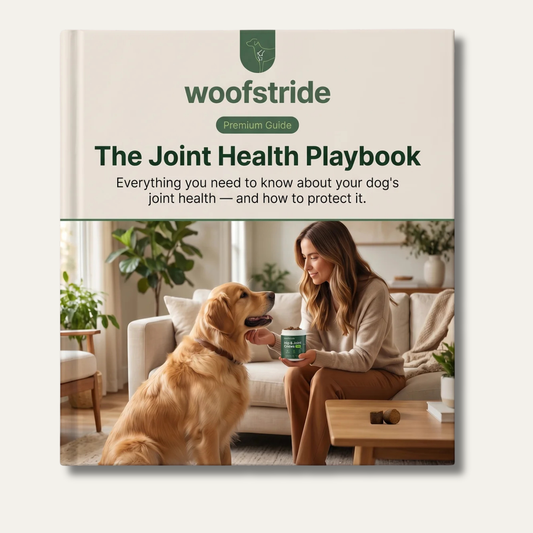 The Joint Health Playbook
