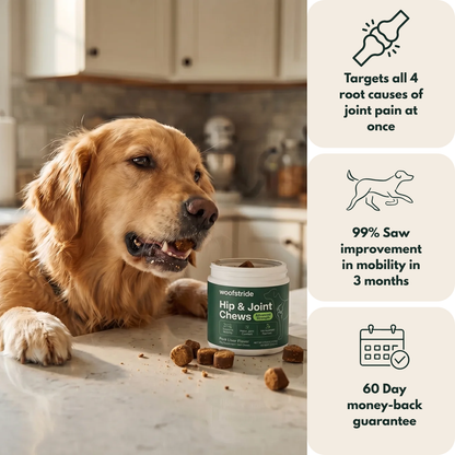 WoofStride Hip & Joint Chews