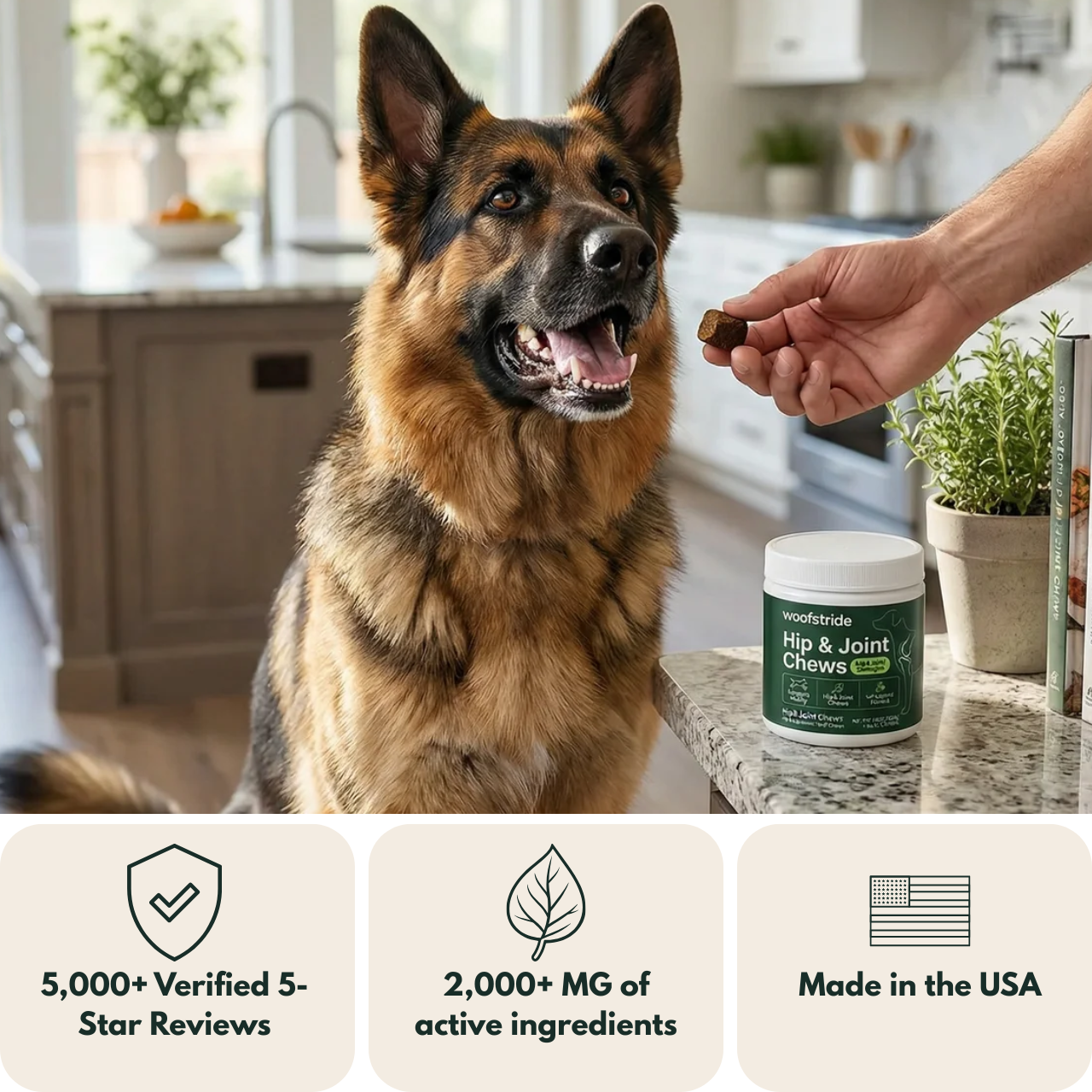 WoofStride Hip & Joint Chews